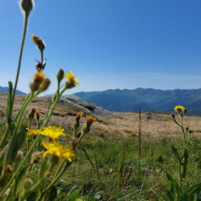 San giacomo Roburent: grande spazio,camino e relax